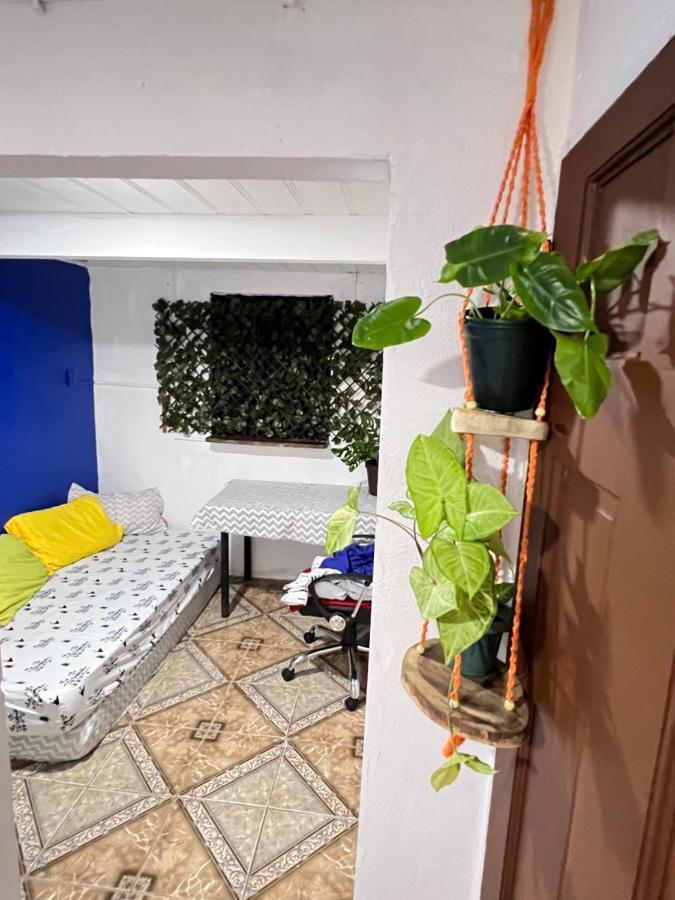 Bato'S Hostel Quepos Ngoại thất bức ảnh